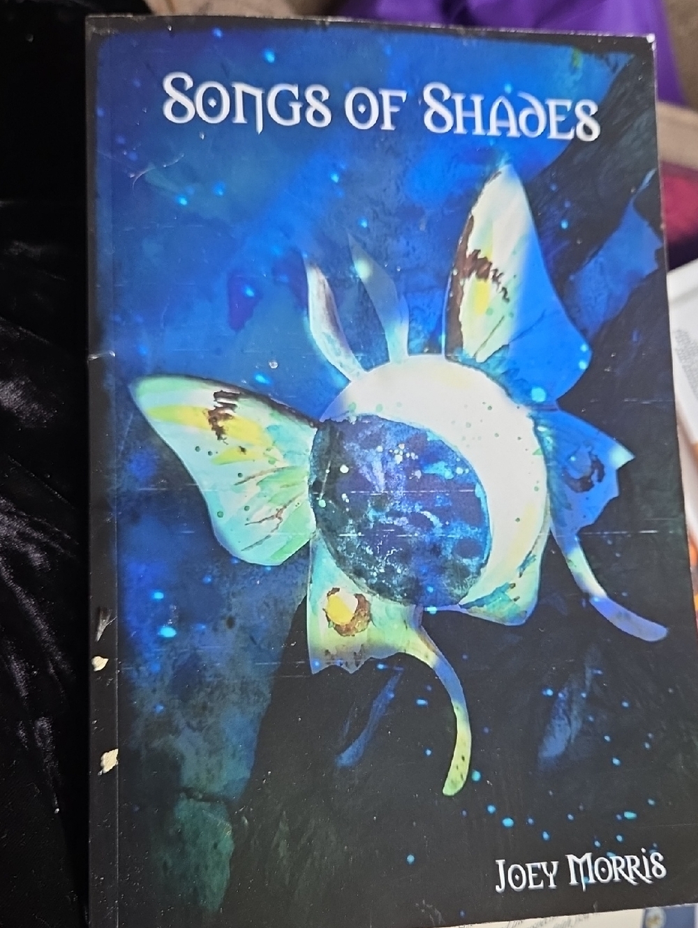 Song Of Shades By Joey Morris